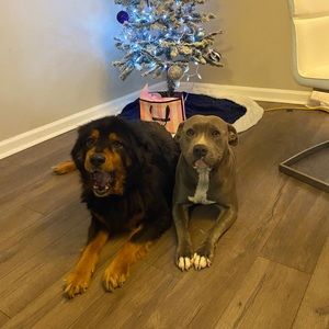 Meet your Posher, Julia